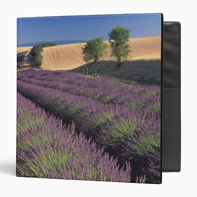 EU, France, Provence, Lavender fields 3 Binder (Front/Inside)
