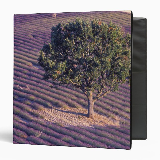 EU, France, Provence, Lavender fields 3 Ring Binder (Front/Inside)
