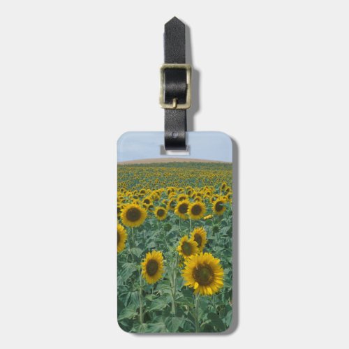 EU France Provence Sunflower field Luggage Tag