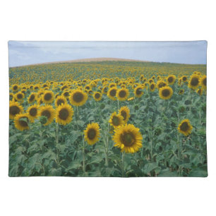 EU, France, Provence, Sunflower field Placemat