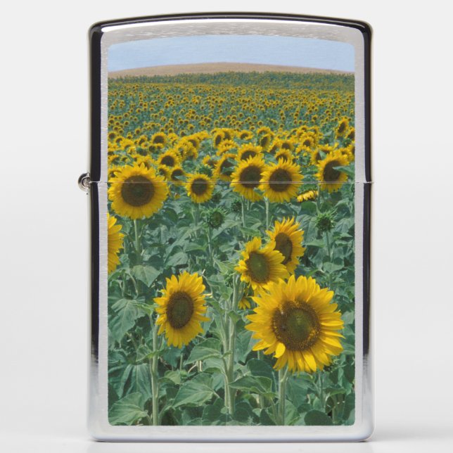 EU, France, Provence, Sunflower field Zippo Lighter (Front)