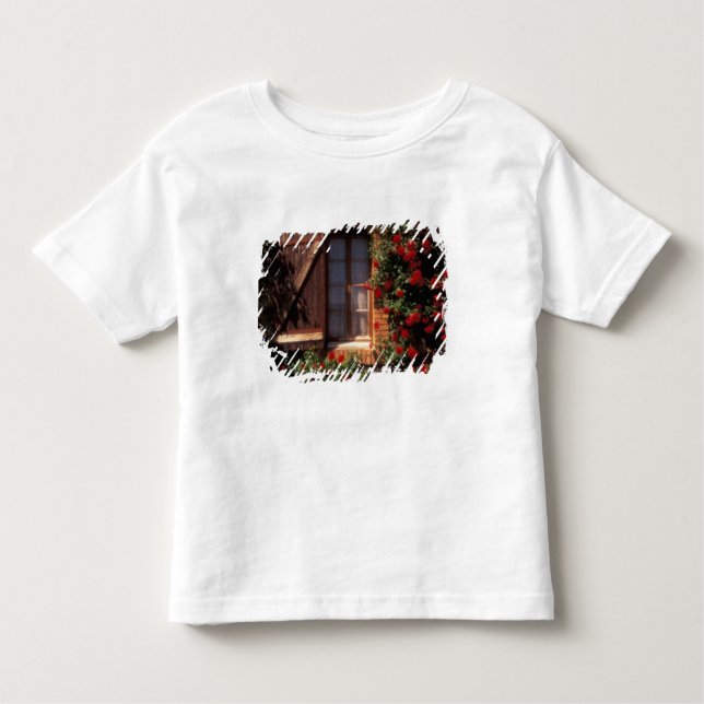 EU, France, Provence, Vaucluse, Apt. House Toddler T-shirt (Front)