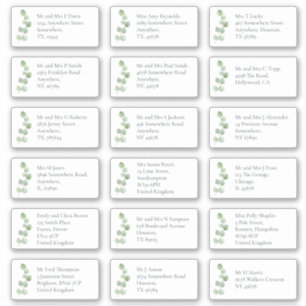 EucaIyptus Individual Recipient Name Address Sticker