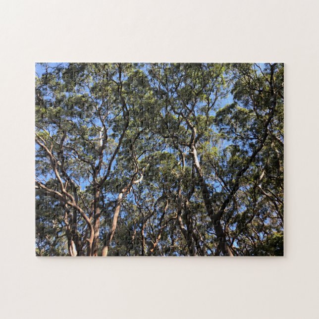 eucalypts jigsaw puzzle (Horizontal)