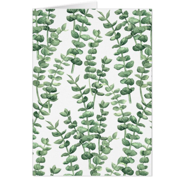 Eucalyptus 1 cards (Front)
