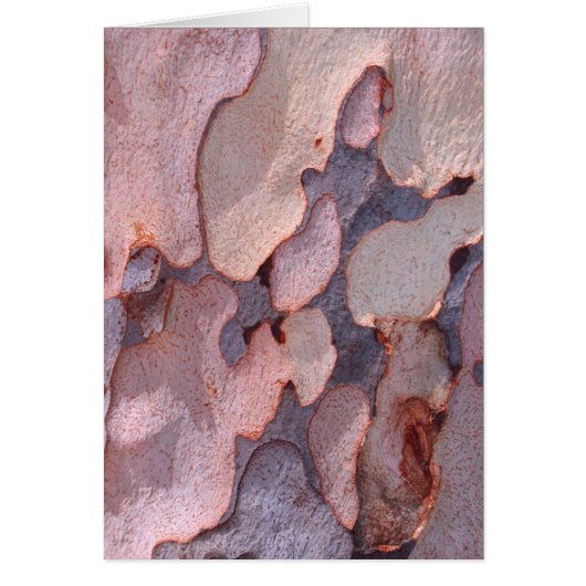 Eucalyptus Bark Cards (Front)