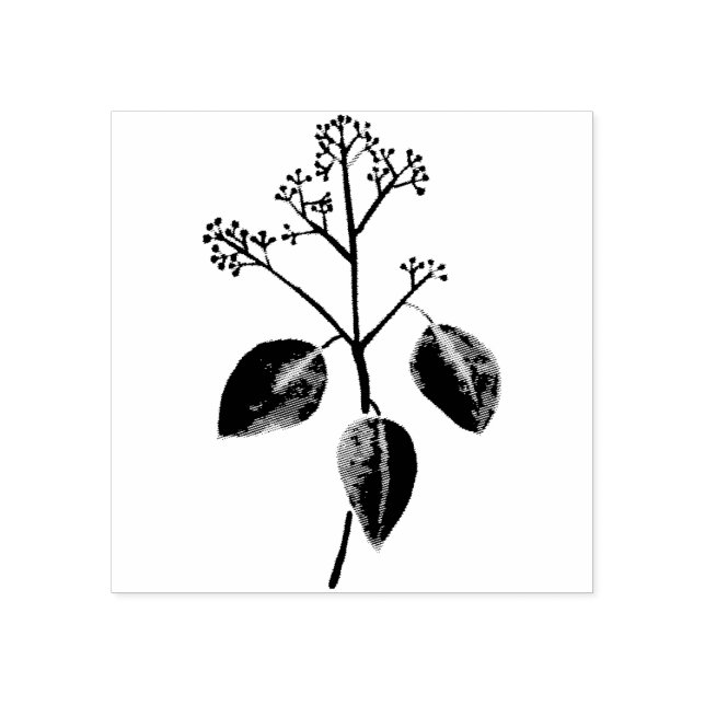 Eucalyptus flower rubber stamp (Imprint)