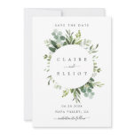 Eucalyptus