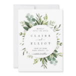 Eucalyptus