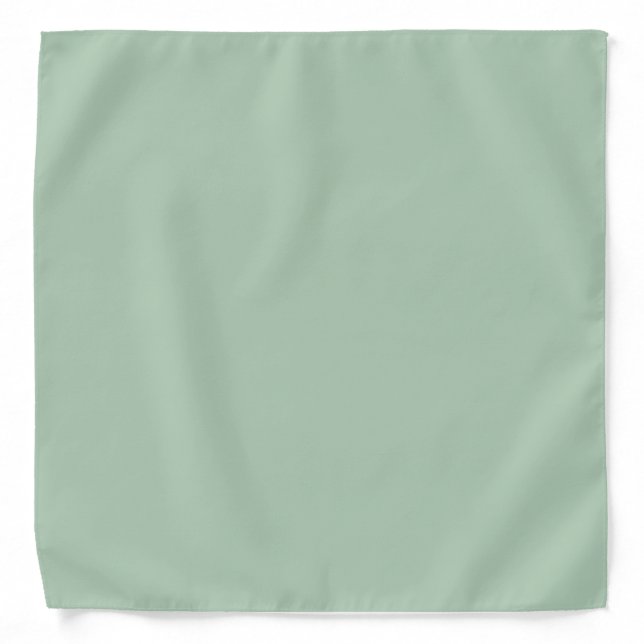 Eucalyptus Green Bridal Party Men's Pocket Square Bandana (Front)