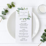 Eucalyptus