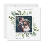 Eucalyptus