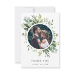 Eucalyptus