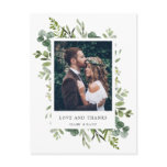 Eucalyptus