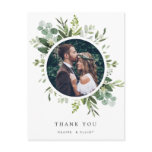 Eucalyptus