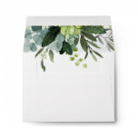 Eucalyptus