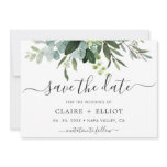 Eucalyptus