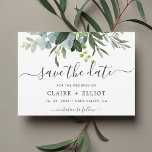 Eucalyptus