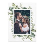 Eucalyptus
