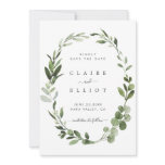 Eucalyptus