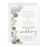 Eucalyptus