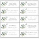 Eucalyptus