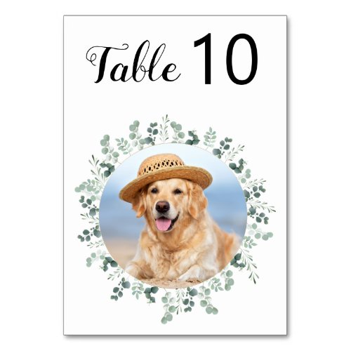 Eucalyptus Greenery Modern Dog Photo Pet Wedding Table Number