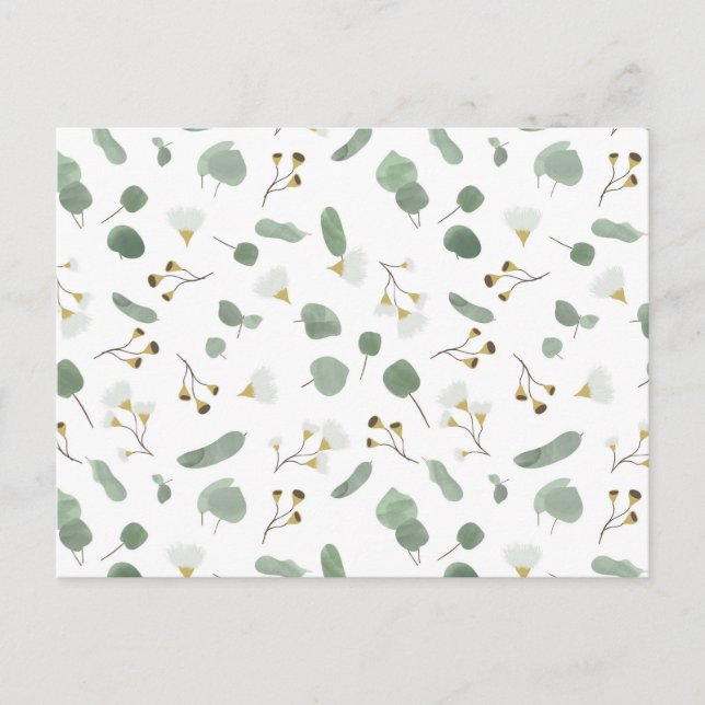 Eucalyptus Greenery Silver Dollar Gum Blossoms  Postcard (Front)