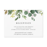 Eucalyptus