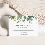 Eucalyptus