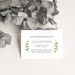 Eucalyptus