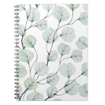 Eucalyptus Leaf Background