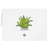 Eucalyptus leaves cards (Back Horizontal)
