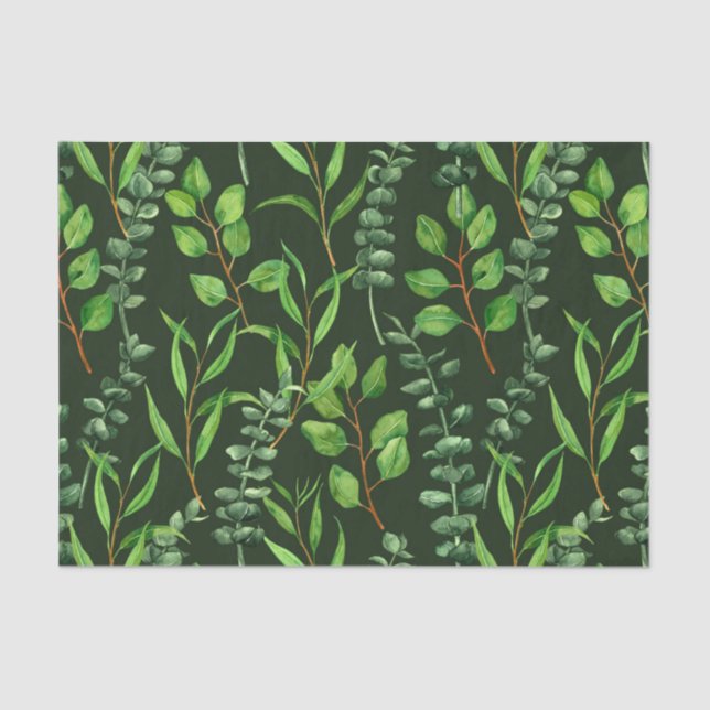 Eucalyptus  on dark green tissue paper (Front)