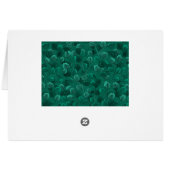 Eucalyptus on green (Back Horizontal)