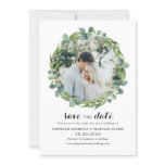 Eucalyptus