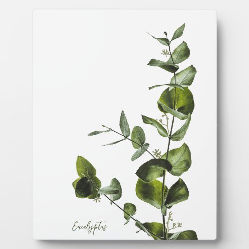 Eucalyptus Plaque