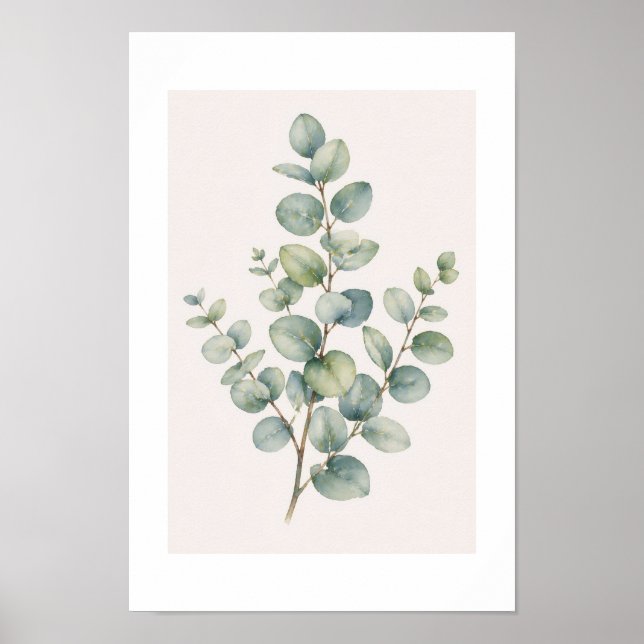 Eucalyptus Poster (Front)