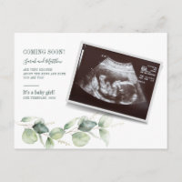 Eucalyptus Sonogram Baby Scan Reveal Pregnancy