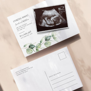 Eucalyptus Succulent Pregnancy Baby Reveal Announcement Postcard