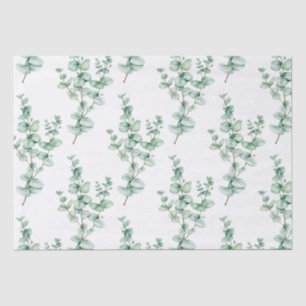 Eucalyptus Tissue Paper