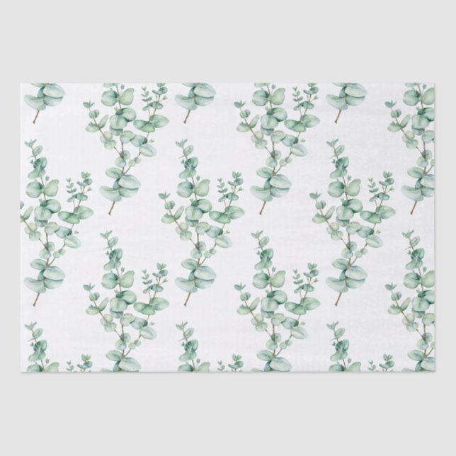 Eucalyptus Tissue Paper (Front)