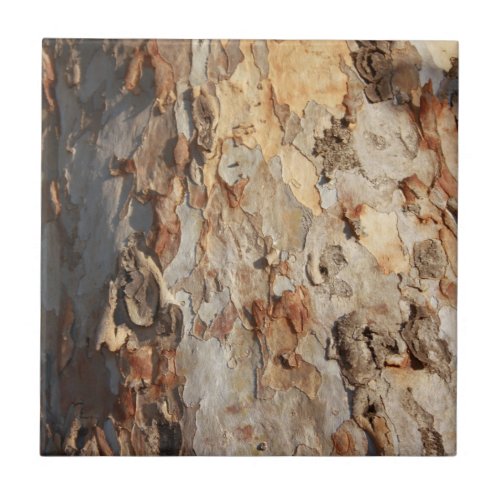 Eucalyptus Tree Peeling Bark Abstract Ceramic Tile