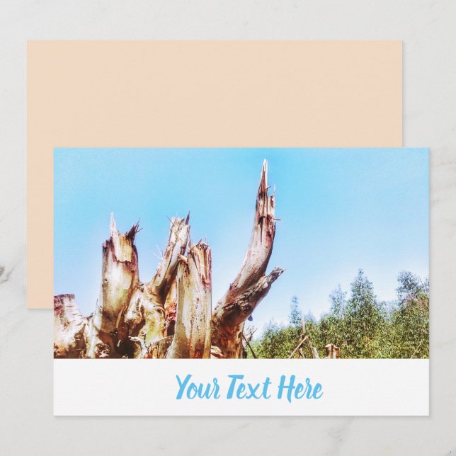 Eucalyptus Tree Stump Blue Sky Invitation Card (Front/Back)