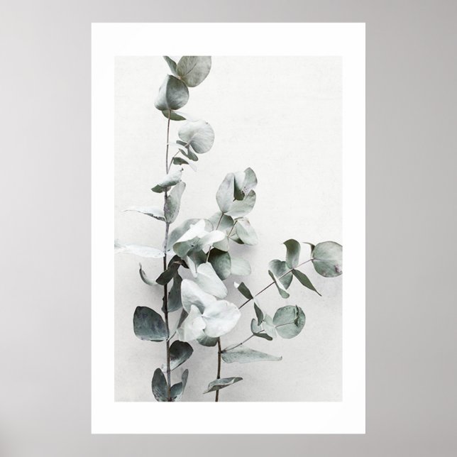 EUCALYPTUS TWIGS NO1, POSTER (Front)