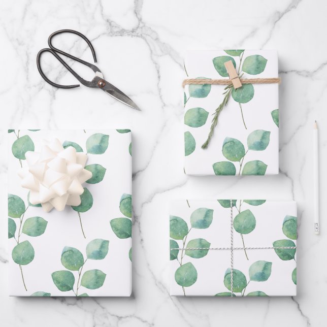Eucalyptus Wrapping Paper Set (Front)