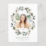 Eucalyptus