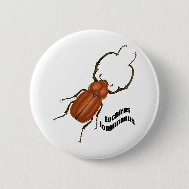 Euchirus longimanis button (Front)