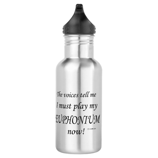 Euphonium Voices Say Must Play Stainless Steel Water Bottle (Right)