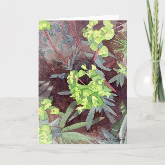 Euphorbia, greeting card (Front)
